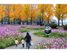 제17회 아름다운 괴산 관광사진 전국 공모전