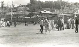 신기경노찬치