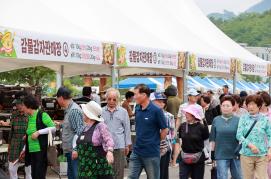 “감자에 반하고, 감물에 물들다” 제15회 감물감자축제 개최 이미지