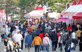 ▣ ‘2025괴산빨간맛페스티벌’ 괴산 효자 축제로 거듭 이미지
