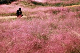 ▣ 완연한 가을 속 눈 정화하는 괴산 모습 이미지