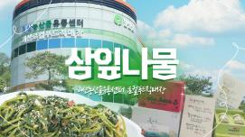 [SNS 서포터즈] 괴산농산물유통센터 : 로컬푸드직매장 삼잎나물