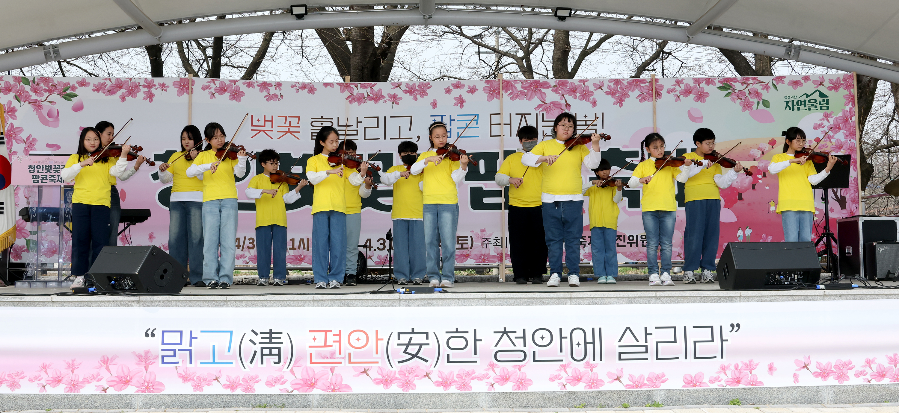괴산군 청안벚꽃길 팝콘 축제 (2026.04.03) 이미지3