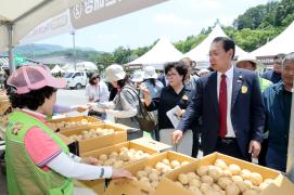 제15회 괴산군 감물감자축제(2026.06.12)