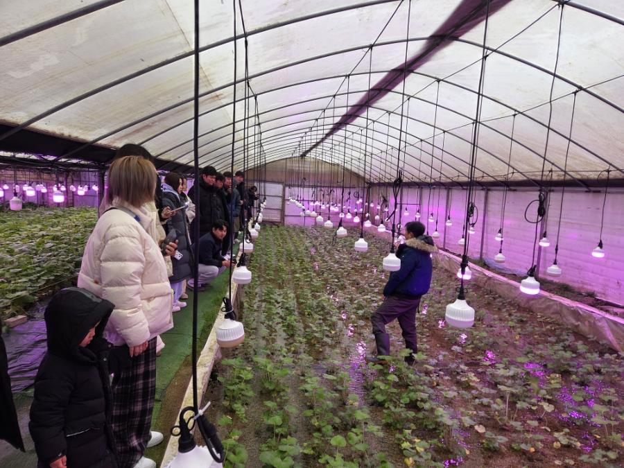 2025년 괴산군 4-H연합회 연말총회 및 현지교육 이미지3