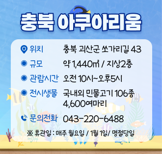 <충북아쿠아리움>

위치: 충북 괴산군 쏘가리길 43

규모: 약 1,440㎡ / 지상2층​

 

관람시간: 오전 10시~오후5시

전시생물: 국내외 민물고기 106종 4,600여마리

문의전화: 043-220-6488

휴관일: 매주 월요일/1월 1일/명절 당일