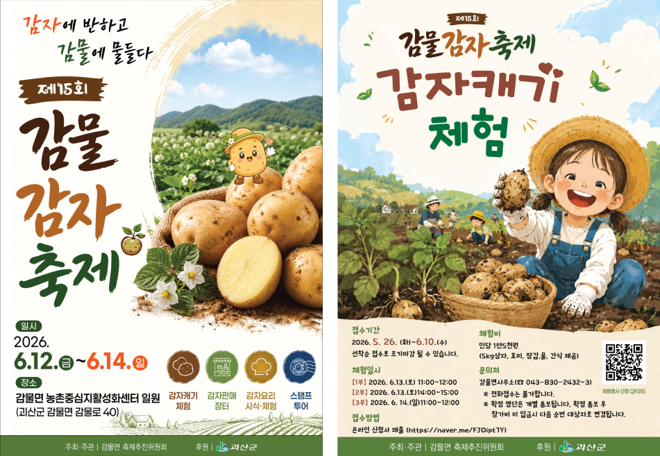 감물감자축제 포스터